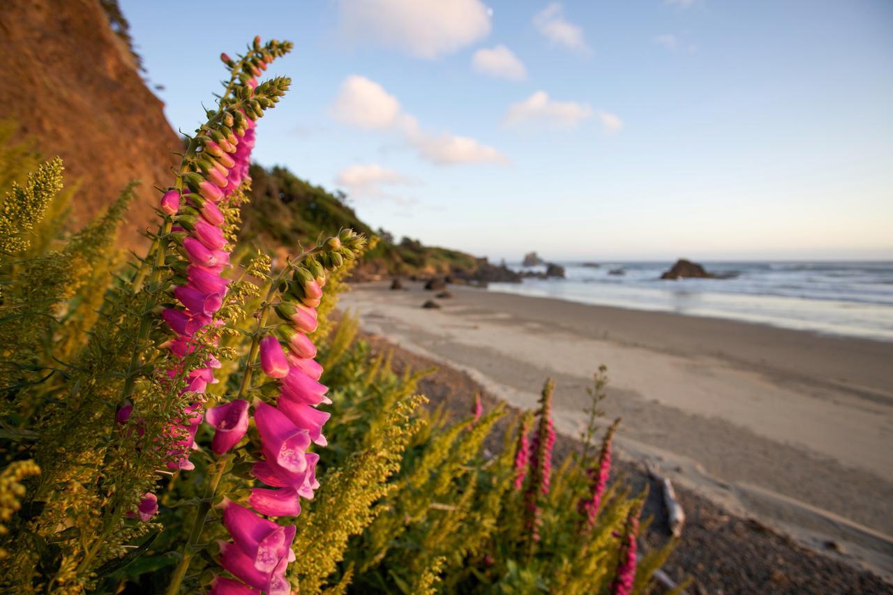 Inn At Cannon Beach Exteriér fotografie
